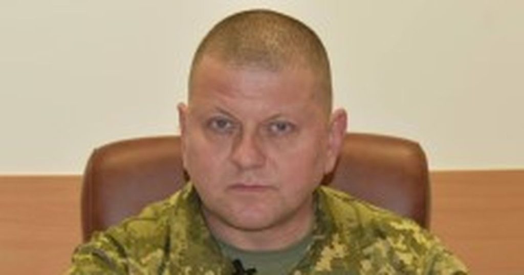 Валерий Залужный Родители Национальность: подробная биография и личная информация