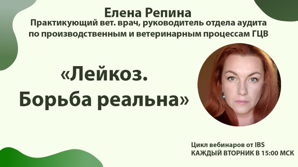 Елена Репина Личная Жизнь: подробности биографии, карьеры и отношений