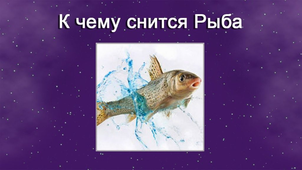 К Чему Снится Рыба: значение и толкования сновидений