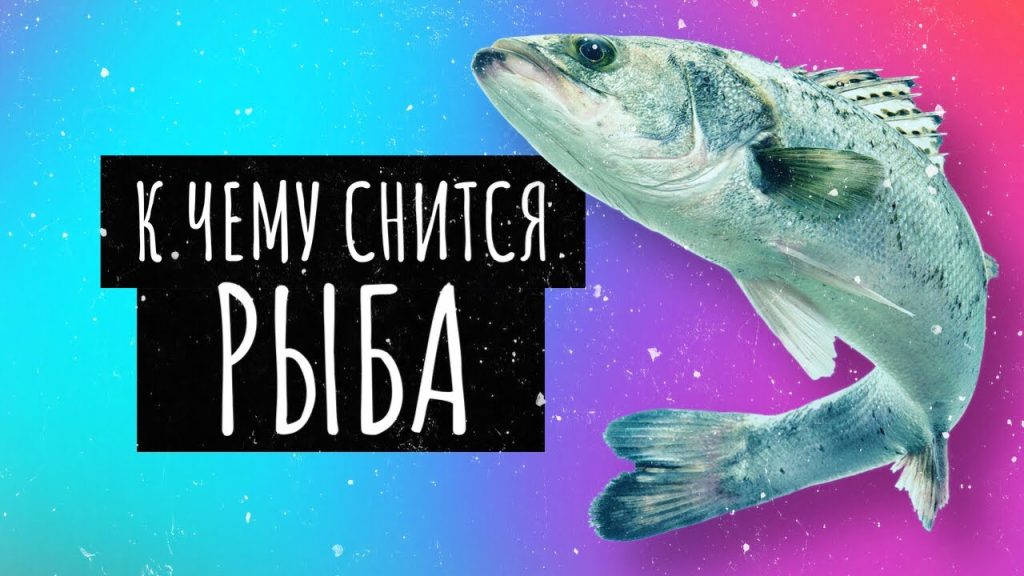К Чему Снится Рыба: значение и толкования сновидений
