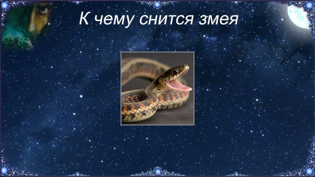 К Чему Снится Змея: Толкование, Символика и Значение в Сонниках