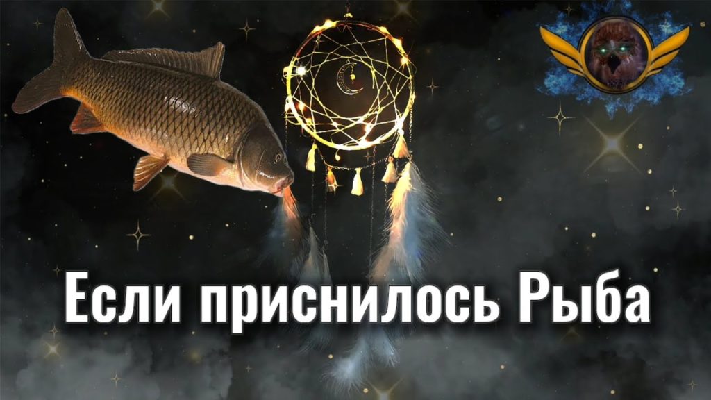 К Чему Снится Рыба: значение и толкования сновидений