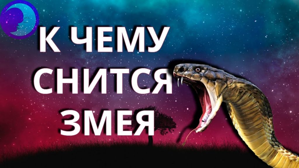 К Чему Снится Змея: Толкование, Символика и Значение в Сонниках