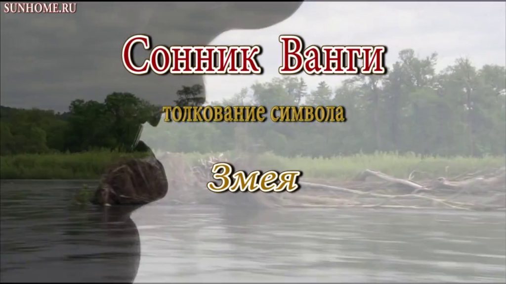 К Чему Снится Змея: Толкование, Символика и Значение в Сонниках