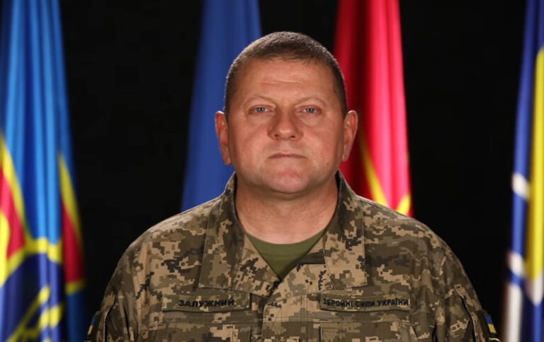 Залужний Біографія: Життя, Кар'єра та Особистість