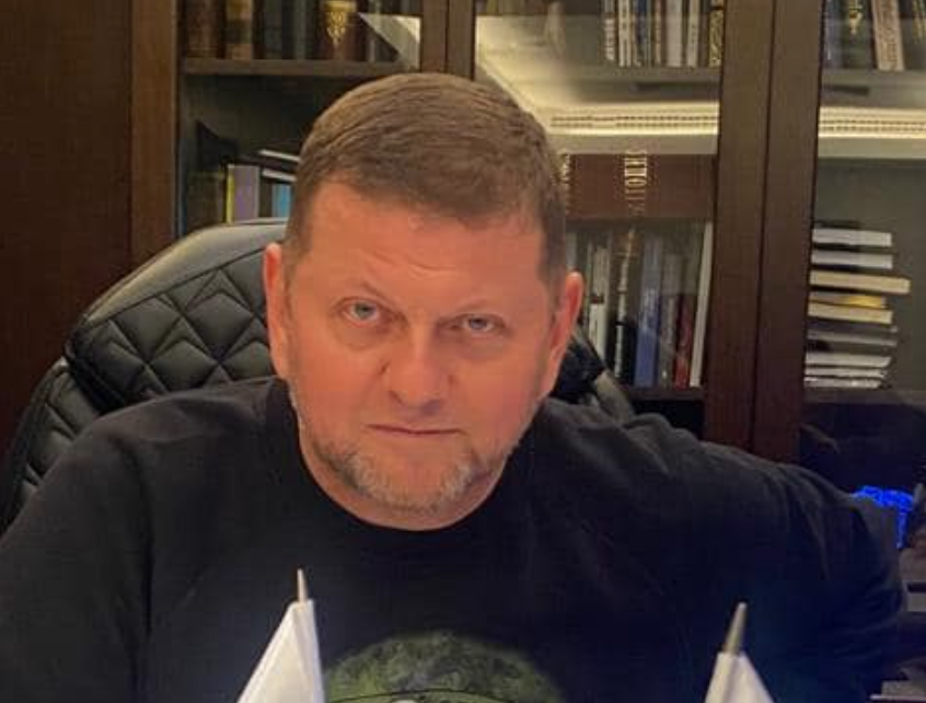 Залужний Біографія: Життя, Кар'єра та Особистість