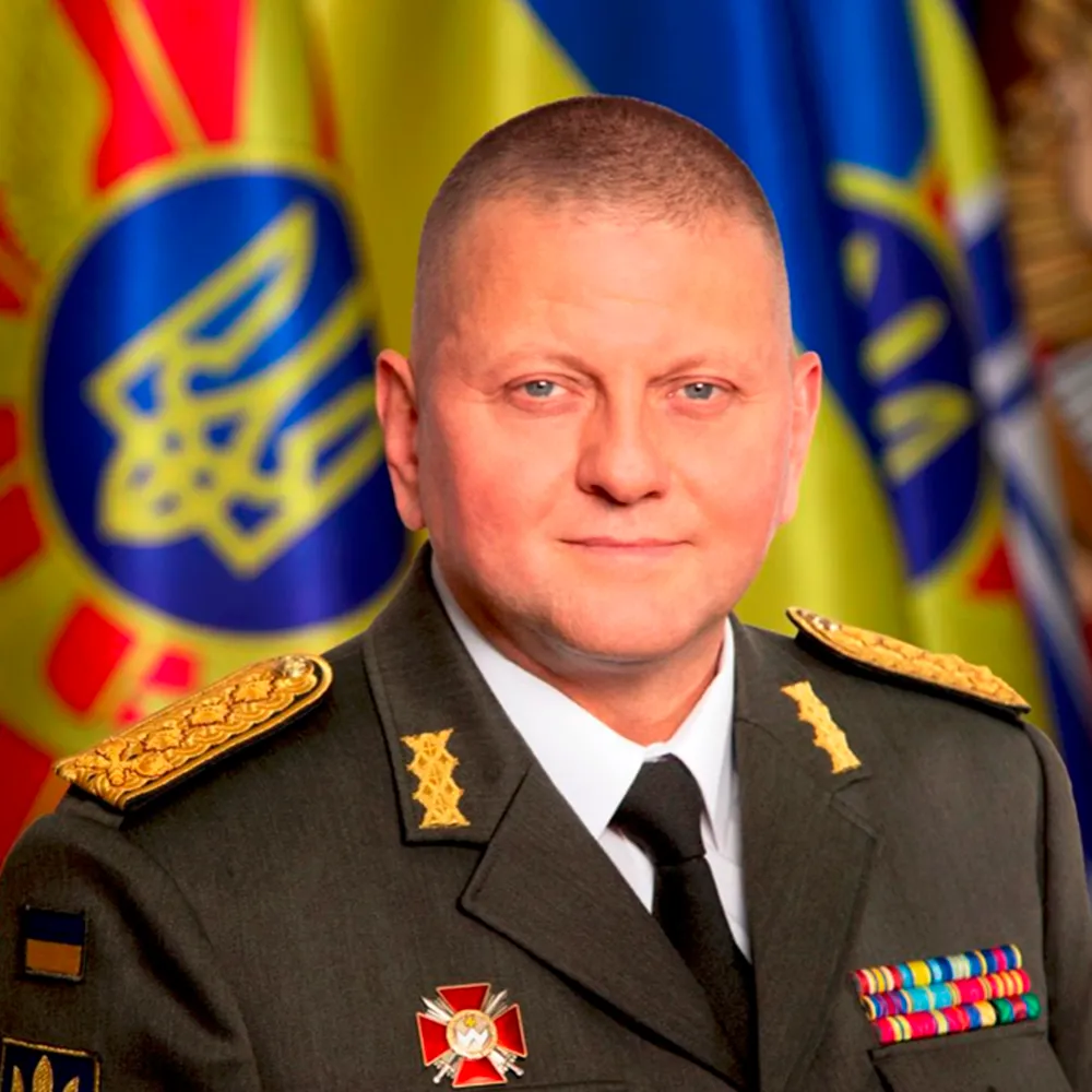 Залужний Біографія: Життя, Кар'єра та Особистість