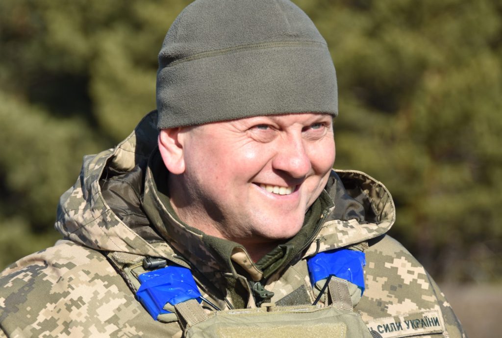 Залужний Біографія: Життя, Кар'єра та Особистість